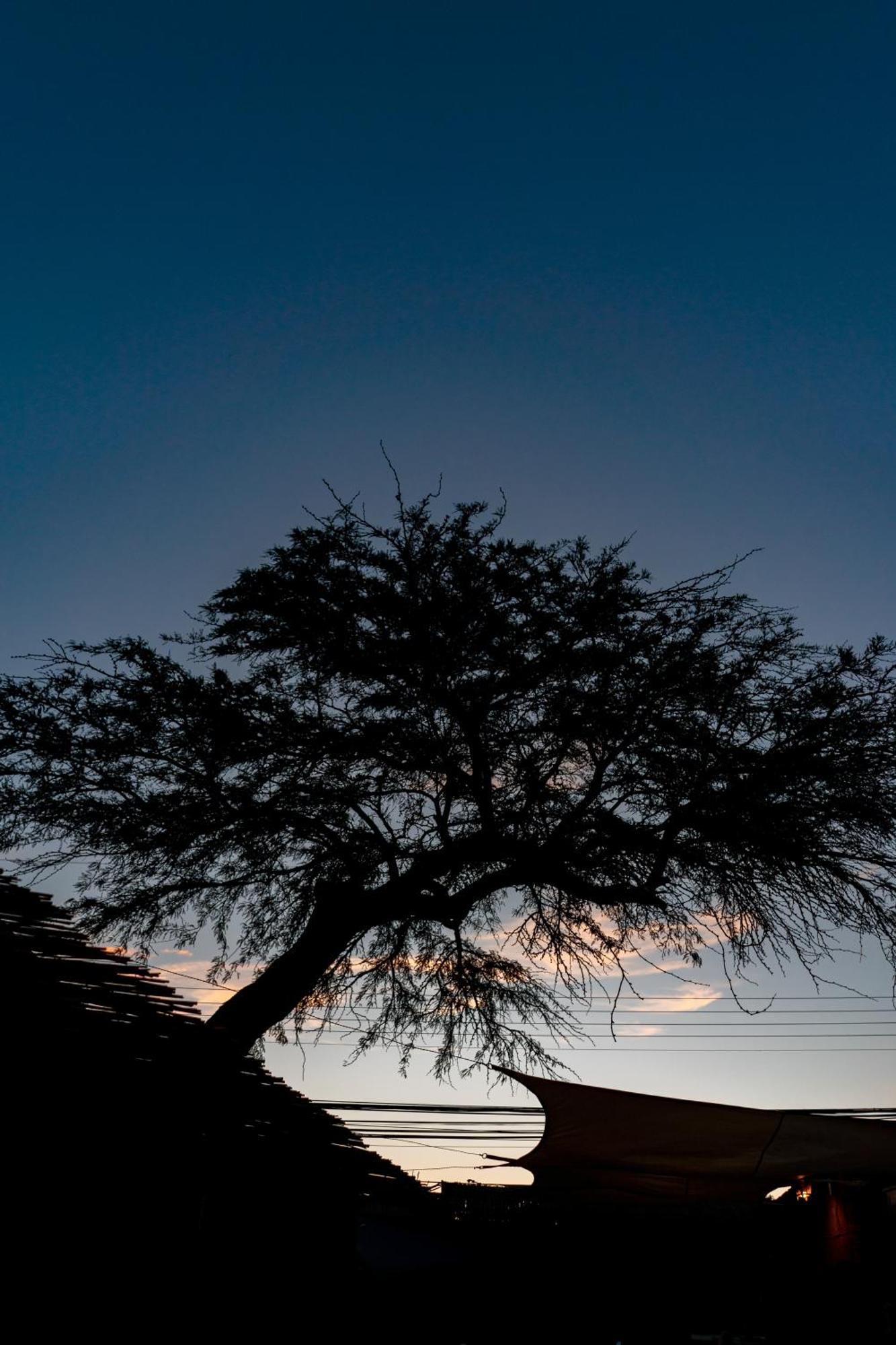 Hostal Katarpe San Pedro de Atacama Eksteriør bilde