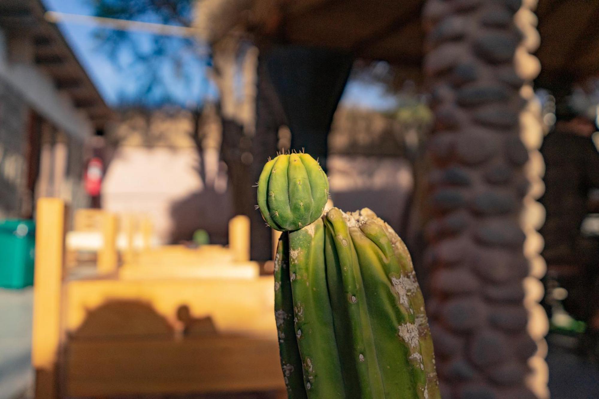 Hostal Katarpe San Pedro de Atacama Eksteriør bilde
